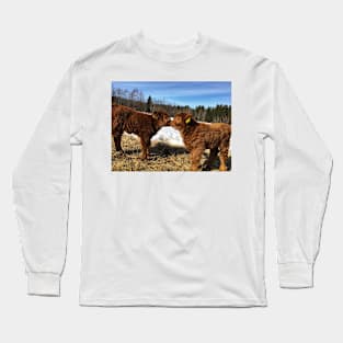 Scottish Highland Cattle Calves 1729 Long Sleeve T-Shirt